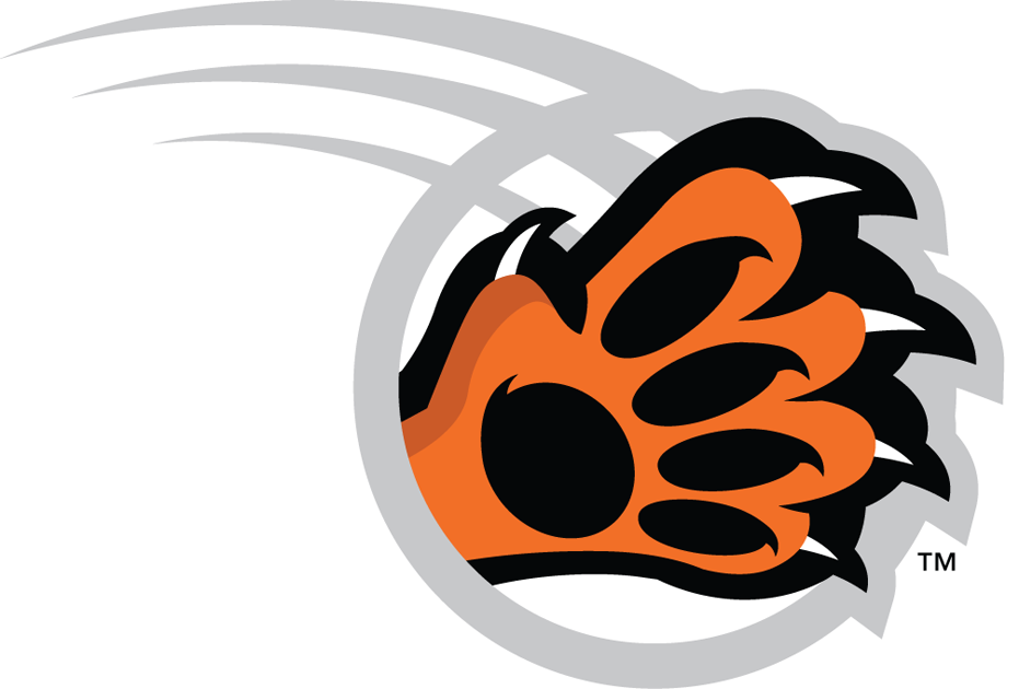 RIT Tigers 2004-Pres Alternate Logo v4 iron on transfers for clothing